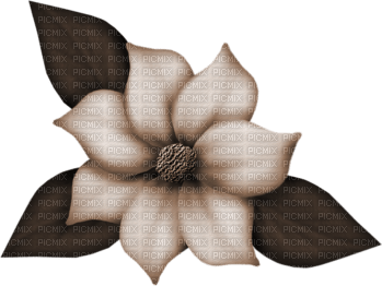 Blume Flowers - PNG gratuit