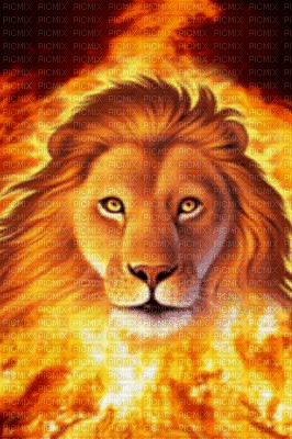 lion - Ilmainen animoitu GIF