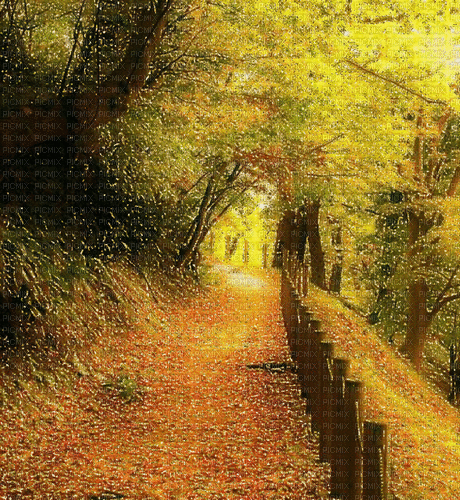Rena Glitter Autumn Herbst Hintergrund - GIF animé gratuit
