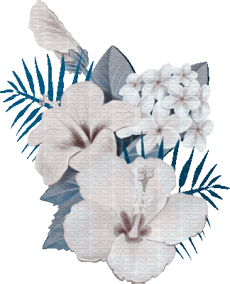 soave deco summer animated branch tropical flowers - Безплатен анимиран GIF