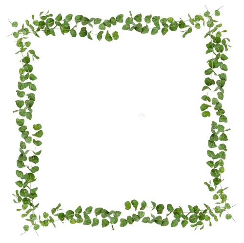 leaves frame - δωρεάν png