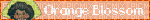 orange blossom blinkie - 免费动画 GIF
