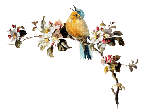 kikkapink vintage bird deco flowers branch - png gratis