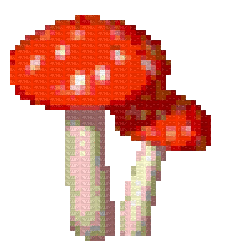 mushrooms - Бесплатный анимированный гифка
