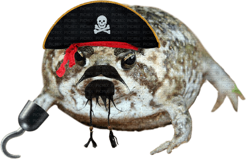 Captain Roundhook Pirate Frog Desert Rain Frog - zadarmo png
