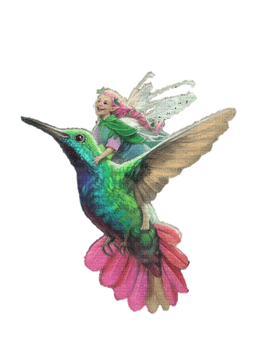 fée et colibri - png grátis