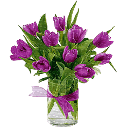 Kaz_Creations Deco Vase Flowers Colours - kostenlos png