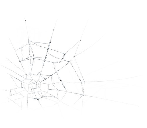 spiderweb deco - 無料png