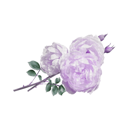 kikkapink deco scrap purple rose roses - png ฟรี