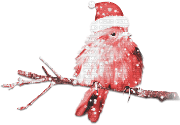 soave deco bird branch christmas winter pink - png gratis