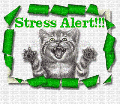 stresse alert !!! - Gratis animerad GIF