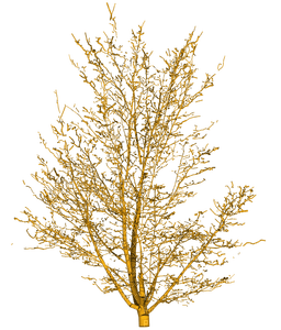 yellow tree, sunshine3 - gratis png