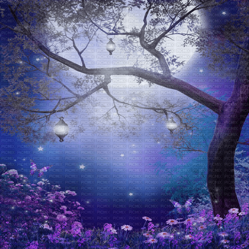 Y.A.M._Fantasy night moon background - gratis png