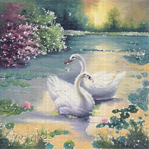 dolceluna flowers spring background swan - GIF animé gratuit