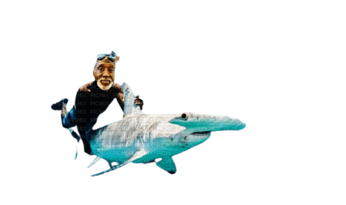 Hawk n shark - PNG gratuit