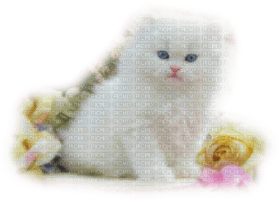 patymirabelle chat - δωρεάν png