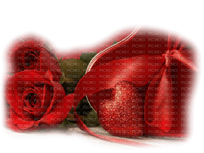 rose rouge - бесплатно png