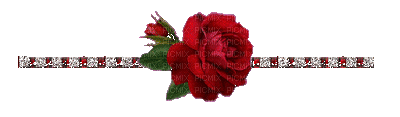 Red Rose - Animovaný GIF zadarmo