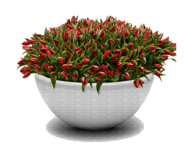 pot with flowers, sunshine3 - zdarma png