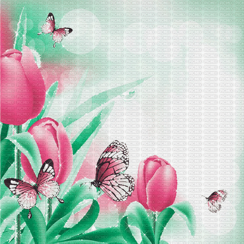 green pink tulpen milla1959 - 無料のアニメーション GIF