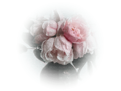 tube fleur - ücretsiz png