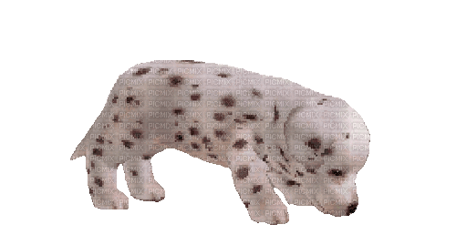 nintendogs dalmatian - Бесплатни анимирани ГИФ