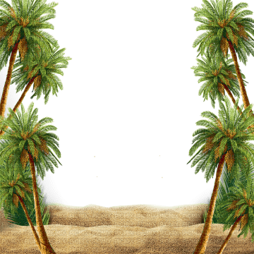 tropical trees bp - δωρεάν png