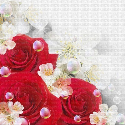 rose rouge fond roses pearls deco bg - bezmaksas png
