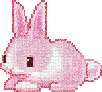 Bunny cute - Бесплатный анимированный гифка