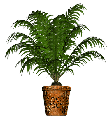 Pot.Deco.Plants.palm tree.plante.Victoriabea - png ฟรี