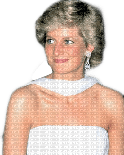 Diana Spencer Princess of Wales - бесплатно png