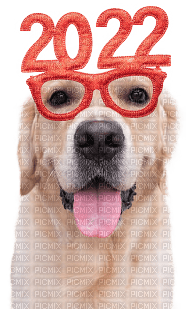 2022.New Year.Dog.Chien.Victoriabea - gratis png