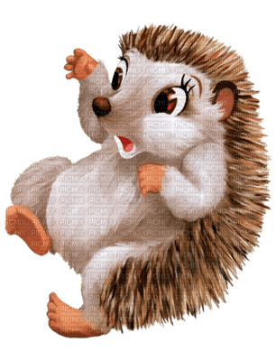 hedgehog - бесплатно png