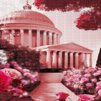 Pink Garden - 無料のアニメーション GIF
