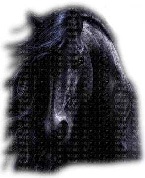 horse head bp - 無料png