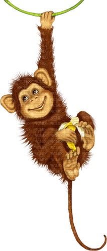 Animaux - kostenlos png