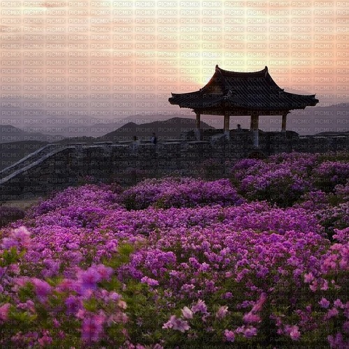 Korean landscape sunset - PNG gratuit