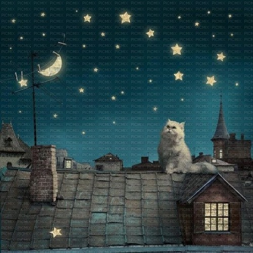 Background Evening Cat - Free PNG