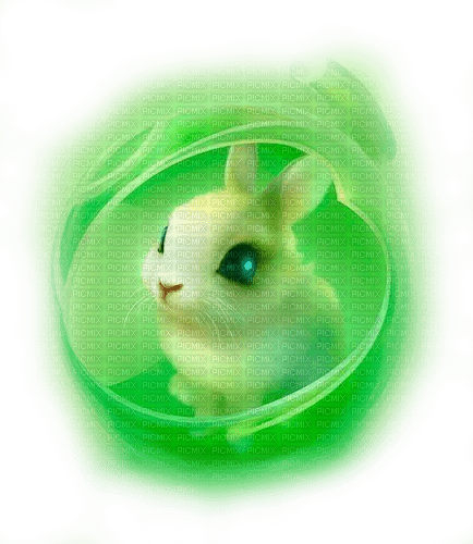 bunny fantasy green deco - zdarma png