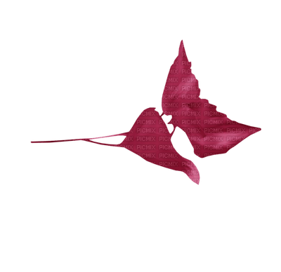 minou-red-leaf - безплатен png