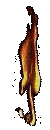 tűz - Bezmaksas animēts GIF