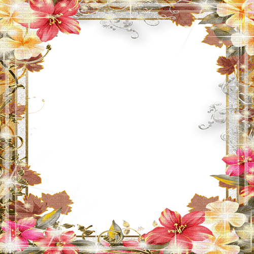 flowers frame by nataliplus - 無料png