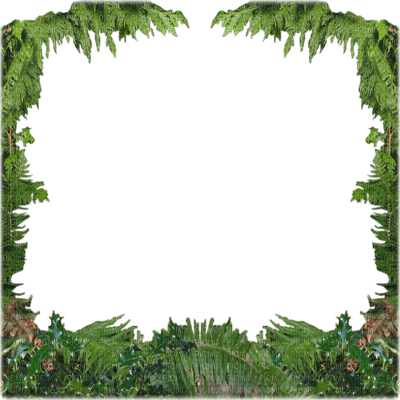forest frame cadre forêt - png gratis