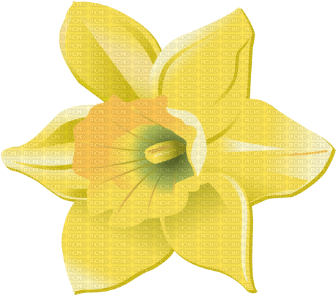 Narcissus   Bb2 - безплатен png