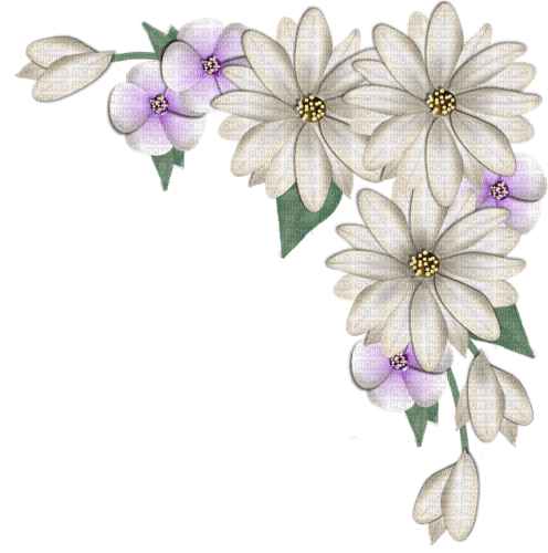 corner coin flowers white pink - zadarmo png