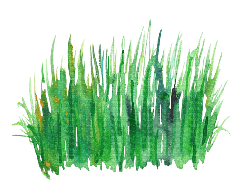 grass watercolor Bb2 - PNG gratuit