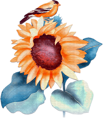 soave deco flowers sunflowers branch blue orange - 免费PNG