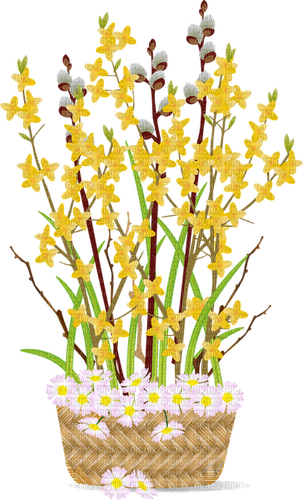 Spring Bouquet - bezmaksas png