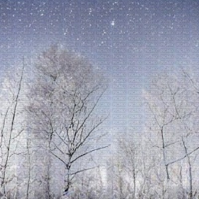 Wintery Skies and Forest - png gratis