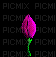 blooming flower - Безплатен анимиран GIF